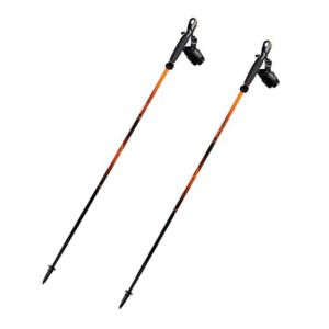 Guidetti Explore Carbon Lightweight Poles